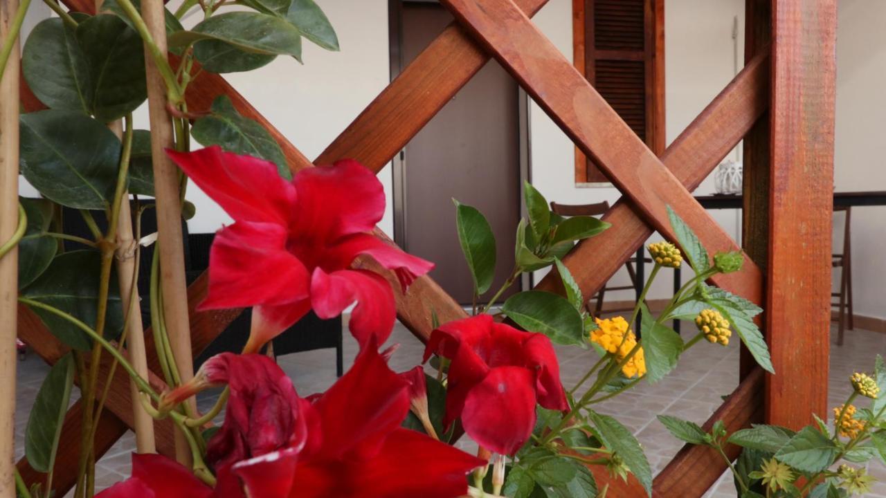 B&B Verzavo Cetraro Ngoại thất bức ảnh