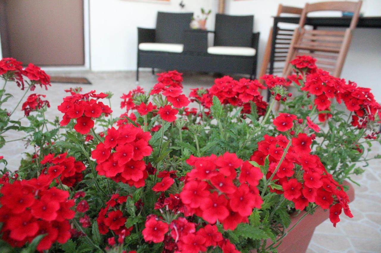 B&B Verzavo Cetraro Ngoại thất bức ảnh
