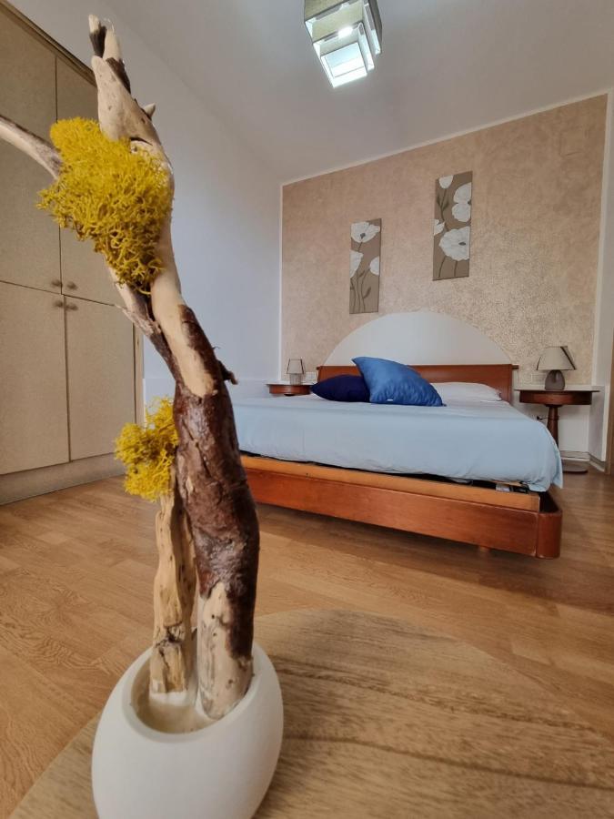 B&B Verzavo Cetraro Ngoại thất bức ảnh